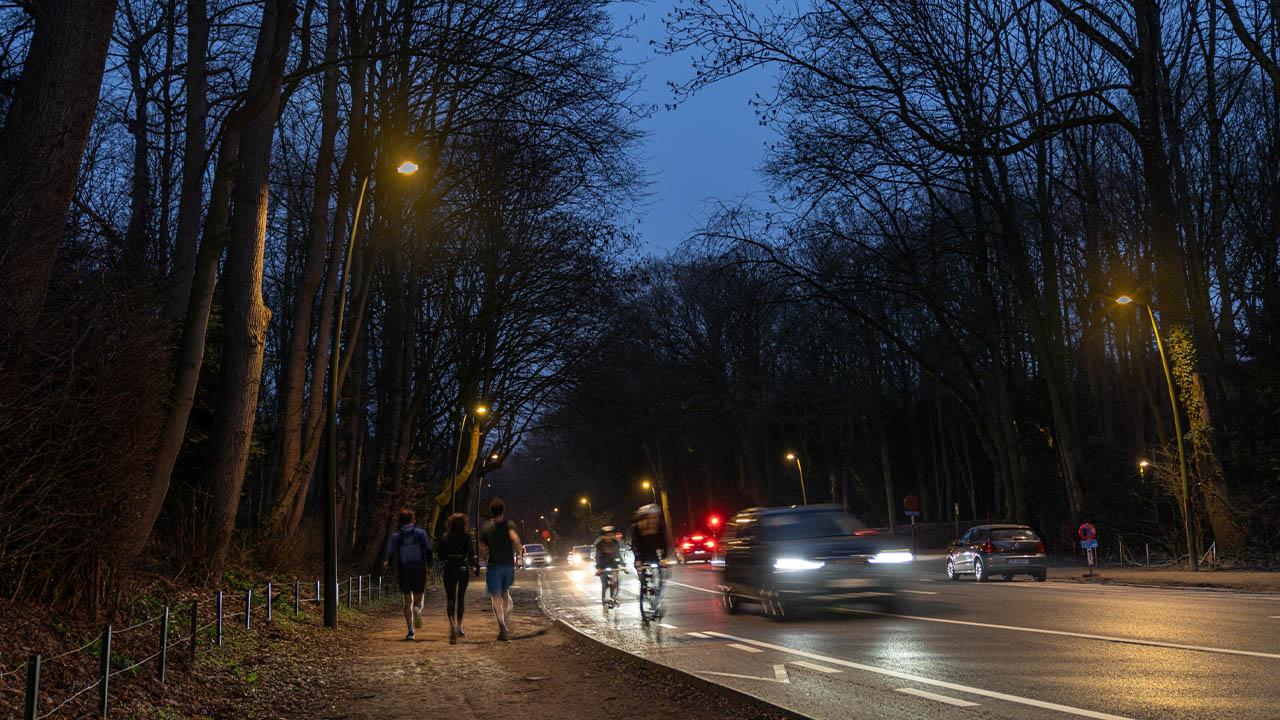 Bois de la Cambre - Bruxelles - CITEA dimming 50%